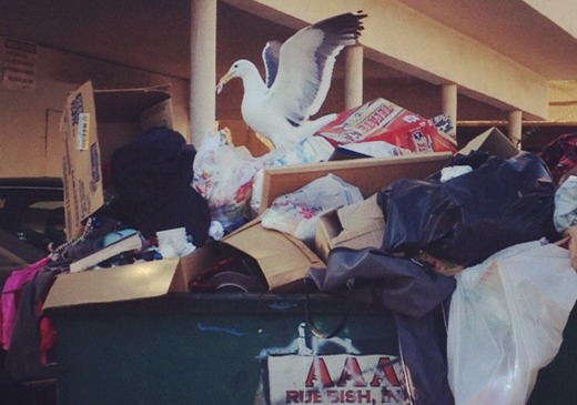 Artwork by Christina Workman